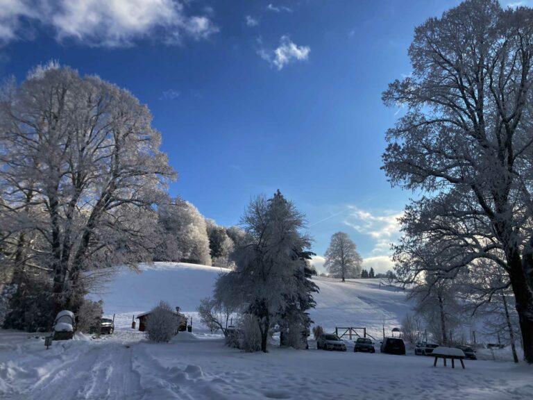 | Erentrudisalm